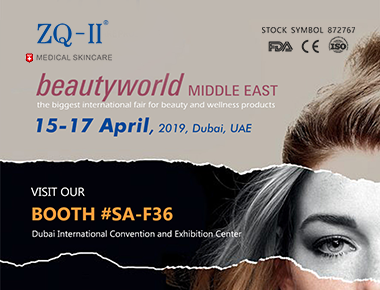 Dubai-udstilling 4.15-17