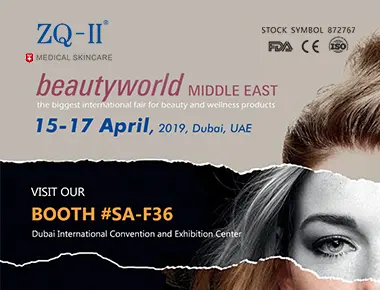 Dubai-udstilling 4.15-17